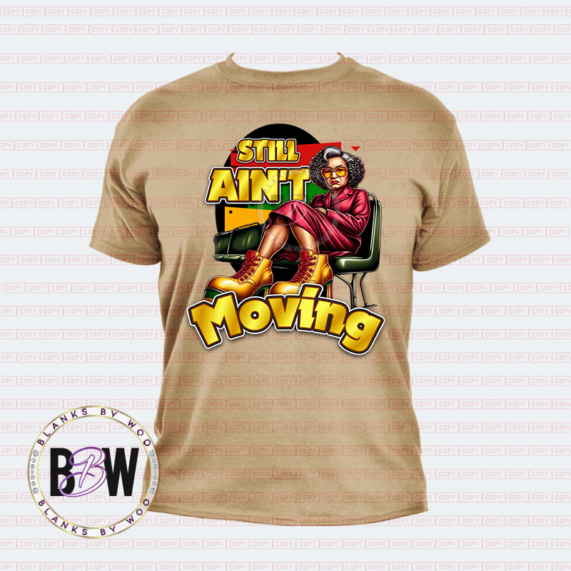 Still Ain't Moving (Transfer)